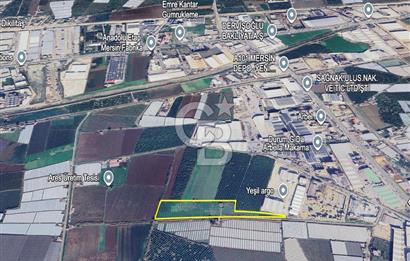 MERSİN AKDENİZ KAZANLI’DA 25.076 m² SATILIK ARAZİ