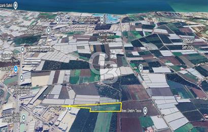 MERSİN AKDENİZ KAZANLI’DA 25.076 m² SATILIK ARAZİ