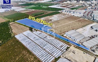 MERSİN AKDENİZ KAZANLI’DA 25.076 m² SATILIK ARAZİ