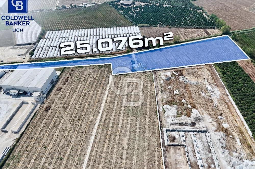 MERSİN AKDENİZ KAZANLI’DA 25.076 m² SATILIK ARAZİ
