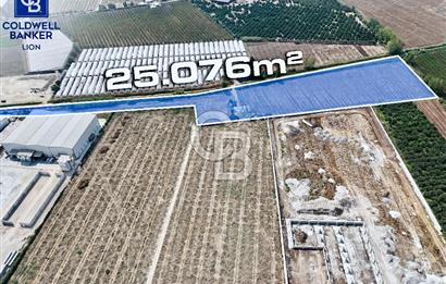 MERSİN AKDENİZ KAZANLI’DA 25.076 m² SATILIK ARAZİ