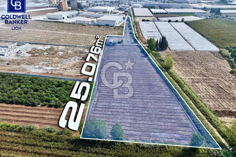 MERSİN AKDENİZ KAZANLI’DA 25.076 m² SATILIK ARAZİ