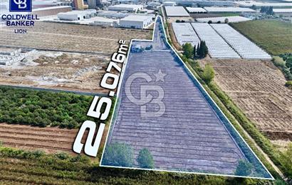 MERSİN AKDENİZ KAZANLI’DA 25.076 m² SATILIK ARAZİ