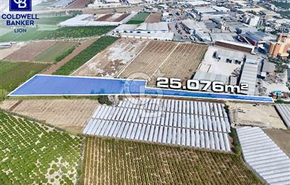 MERSİN AKDENİZ KAZANLI’DA 25.076 m² SATILIK ARAZİ