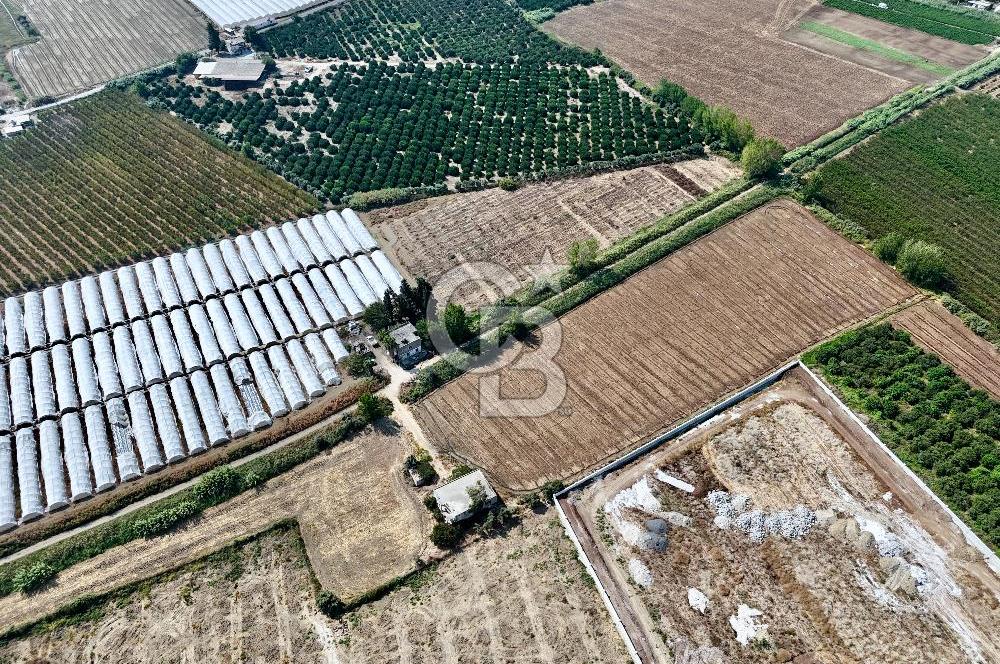 MERSİN AKDENİZ KAZANLI’DA 25.076 m² SATILIK ARAZİ
