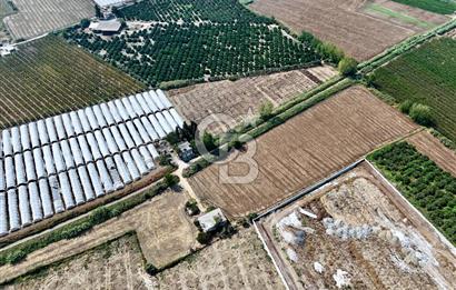 MERSİN AKDENİZ KAZANLI’DA 25.076 m² SATILIK ARAZİ