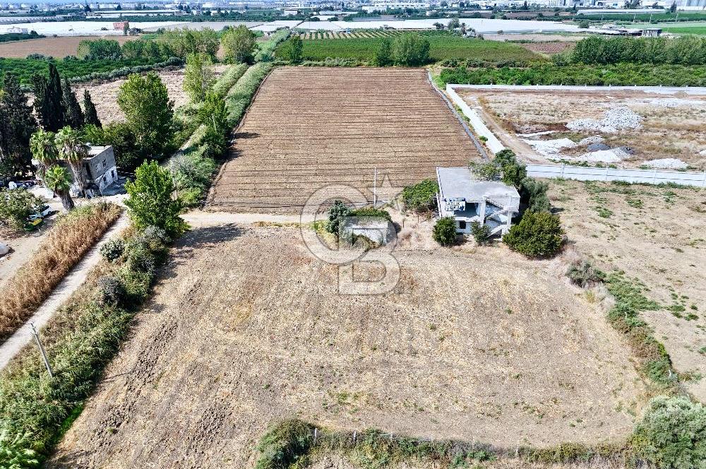 MERSİN AKDENİZ KAZANLI’DA 25.076 m² SATILIK ARAZİ