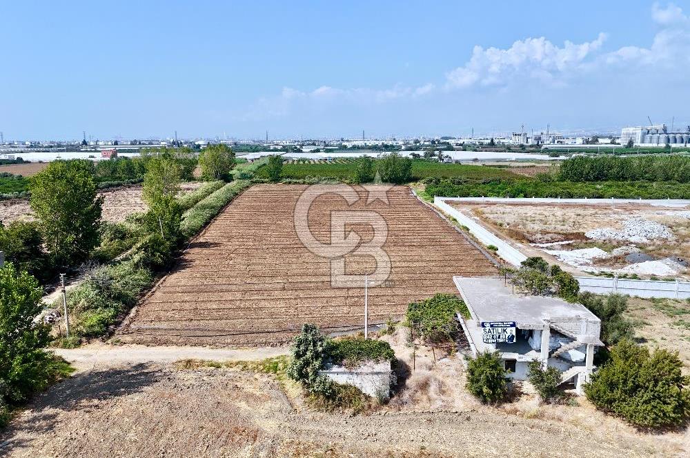 MERSİN AKDENİZ KAZANLI’DA 25.076 m² SATILIK ARAZİ