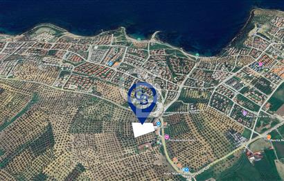 Balıkesir Gömeç Karaağaç İmara Komşu Satılık Zeytinlik