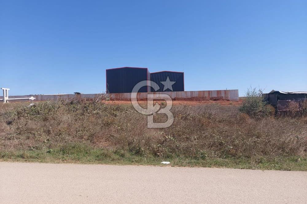 Gebze Balçık'ta kiralık ticari arsa.