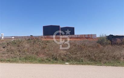 Gebze Balçık'ta kiralık ticari arsa.