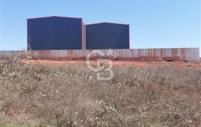 Gebze Balçık'ta kiralık ticari arsa.