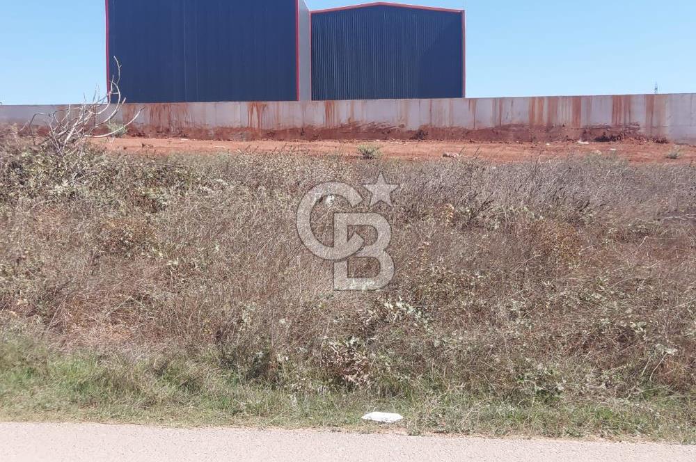 Gebze Balçık'ta kiralık ticari arsa.