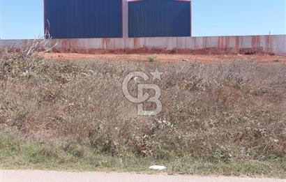 Gebze Balçık'ta kiralık ticari arsa.