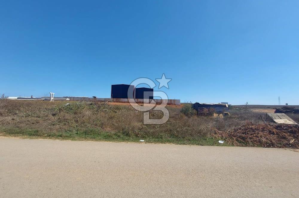 Gebze Balçık'ta kiralık ticari arsa.