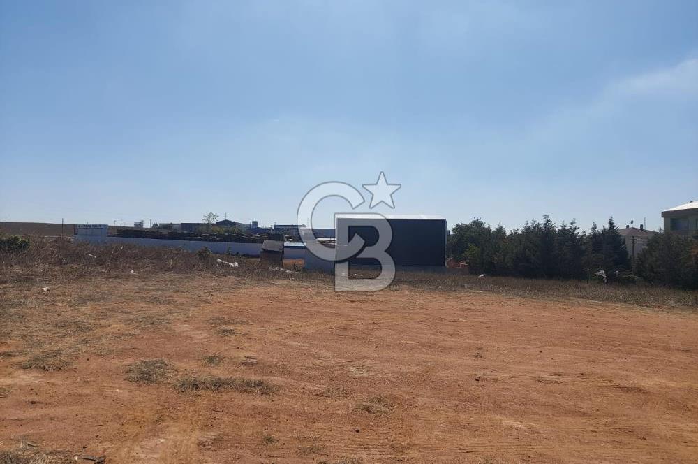 Gebze Balçık'ta kiralık ticari arsa.