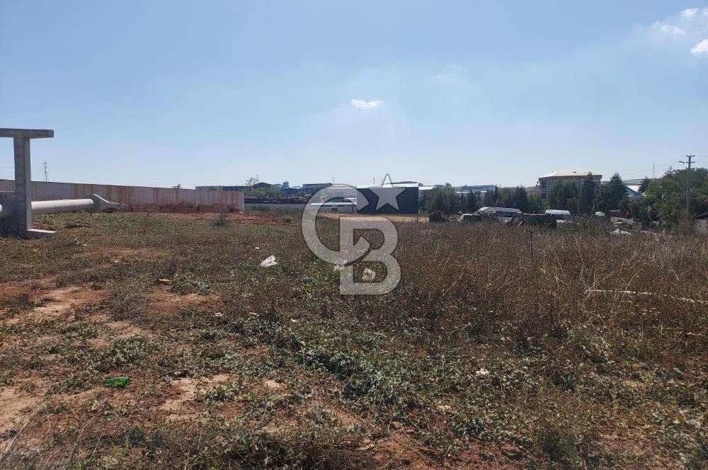 Gebze Balçık'ta kiralık ticari arsa.