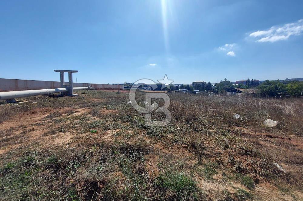 Gebze Balçık'ta kiralık ticari arsa.