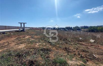 Gebze Balçık'ta kiralık ticari arsa.