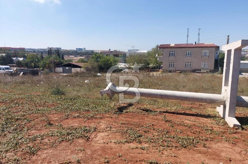 Gebze Balçık'ta kiralık ticari arsa.