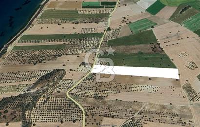 ÇANAKKALE EZİNE YENİKÖY DE SATILIK 1/5  HİSSE