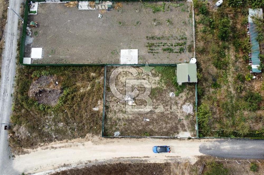 BÜYÜKÇEKMECE ESKİCE'DE 491 m² ETRAFI ÇEVRİLİ TEK TAPU ARSA