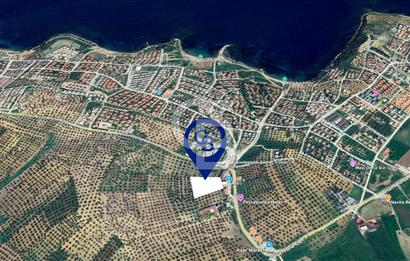 Balıkesir Gömeç Karaağaç İmara Komşu Satılık Zeytinlik