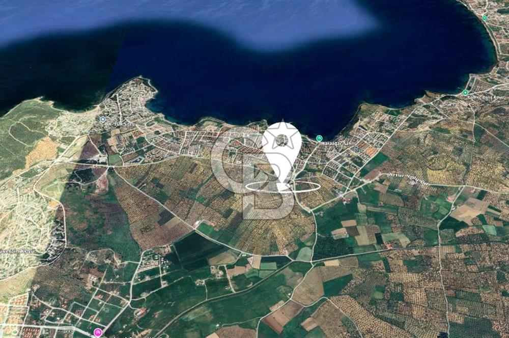 Balıkesir Gömeç Karaağaç İmara Komşu Satılık Zeytinlik