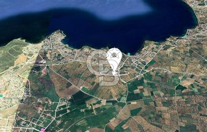Balıkesir Gömeç Karaağaç İmara Komşu Satılık Zeytinlik