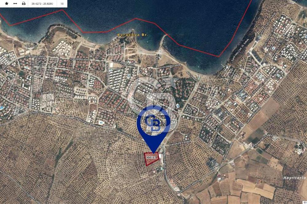 Balıkesir Gömeç Karaağaç İmara Komşu Satılık Zeytinlik