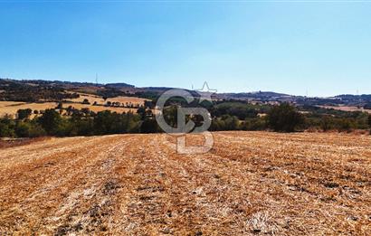 Lapseki Kangırlıda 9.168 m² Tarla | Yolu Olan, Uygun Konumda