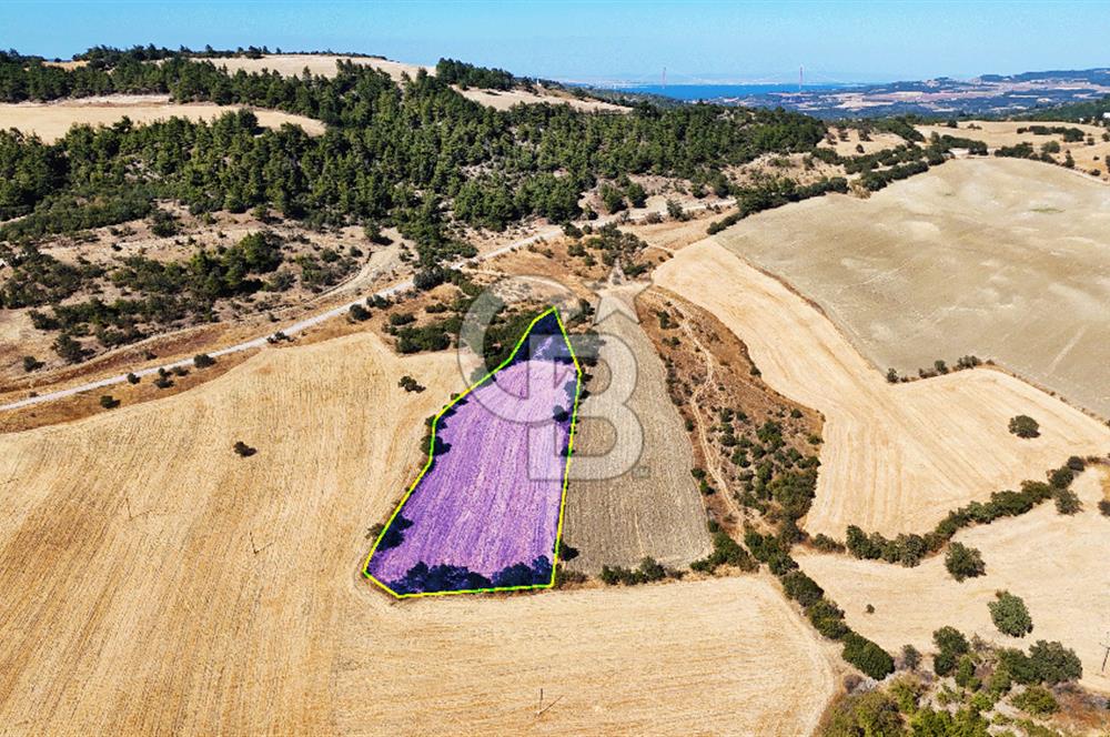 Lapseki Kangırlıda 9.168 m² Tarla | Yolu Olan, Uygun Konumda