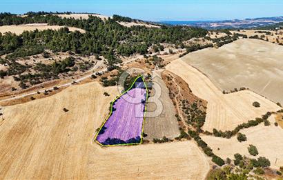 Lapseki Kangırlıda 9.168 m² Tarla | Yolu Olan, Uygun Konumda