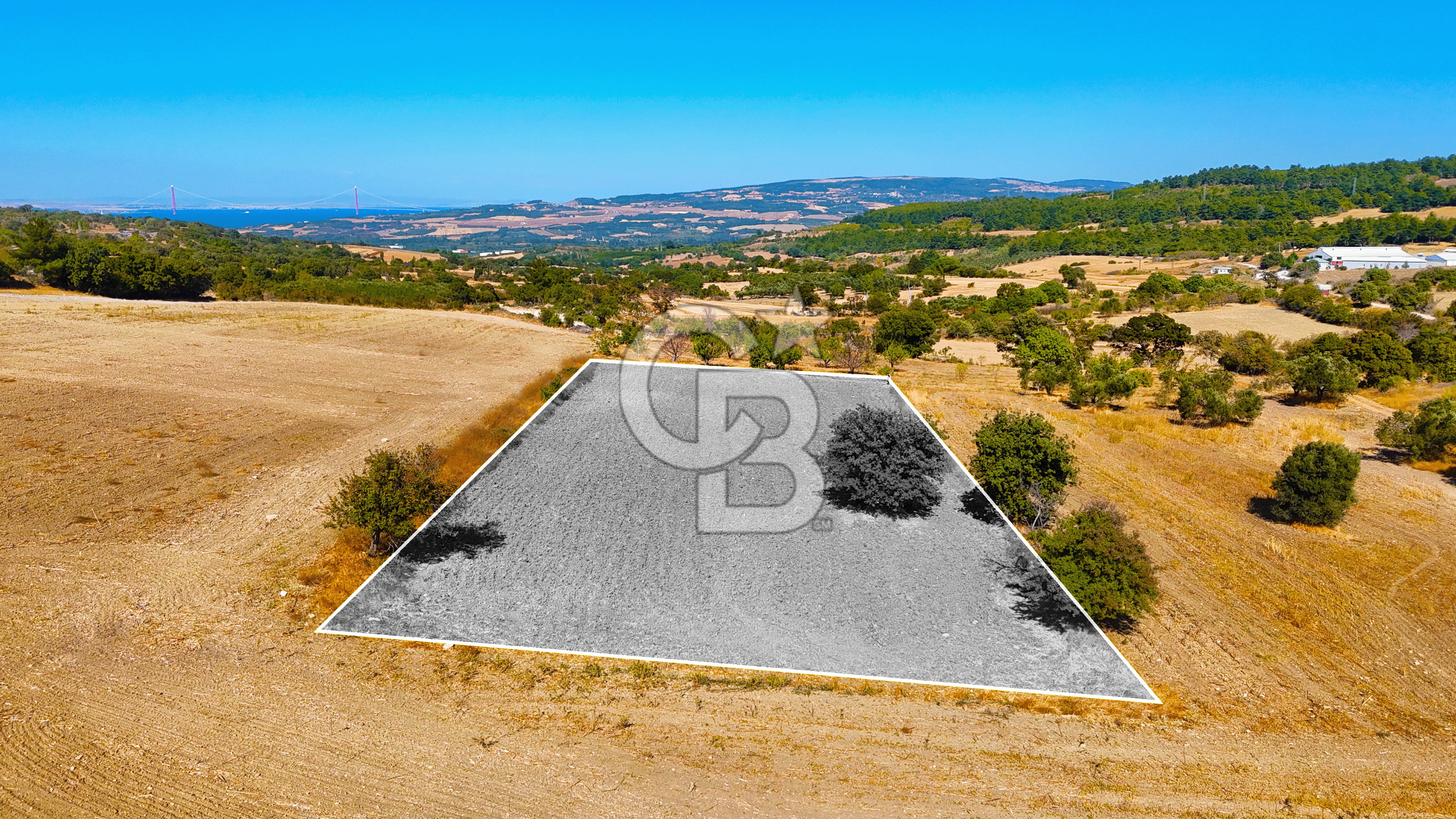 Kangırlı Köyünde 4.212 m² Tarla | Yatırım Fırsatı