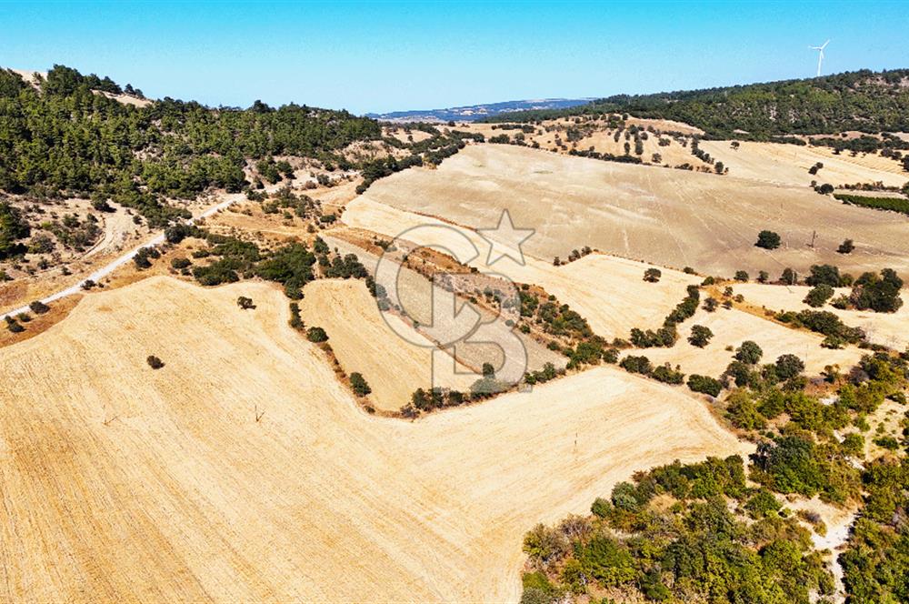 Lapseki Kangırlıda 9.168 m² Tarla | Yolu Olan, Uygun Konumda