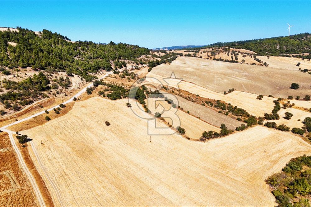 Lapseki Kangırlıda 9.168 m² Tarla | Yolu Olan, Uygun Konumda