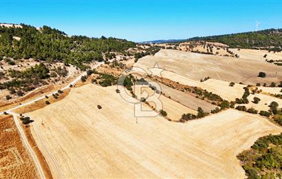 Lapseki Kangırlıda 9.168 m² Tarla | Yolu Olan, Uygun Konumda