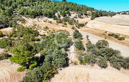 Lapseki Kangırlıda 9.168 m² Tarla | Yolu Olan, Uygun Konumda