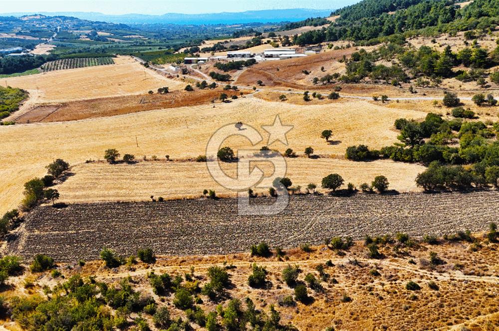 Lapseki Kangırlıda 9.168 m² Tarla | Yolu Olan, Uygun Konumda