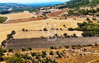 Lapseki Kangırlıda 9.168 m² Tarla | Yolu Olan, Uygun Konumda