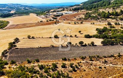 Lapseki Kangırlıda 9.168 m² Tarla | Yolu Olan, Uygun Konumda