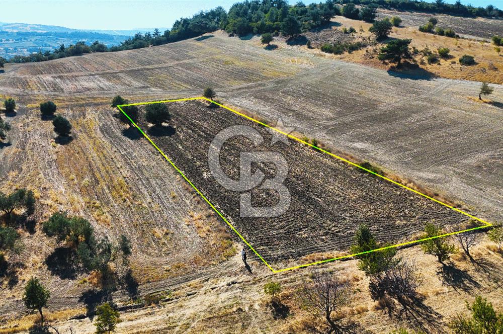 Kangırlı Köyünde 4.212 m² Tarla | Yatırım Fırsatı