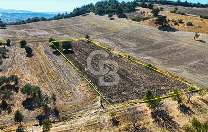 Kangırlı Köyünde 4.212 m² Tarla | Yatırım Fırsatı