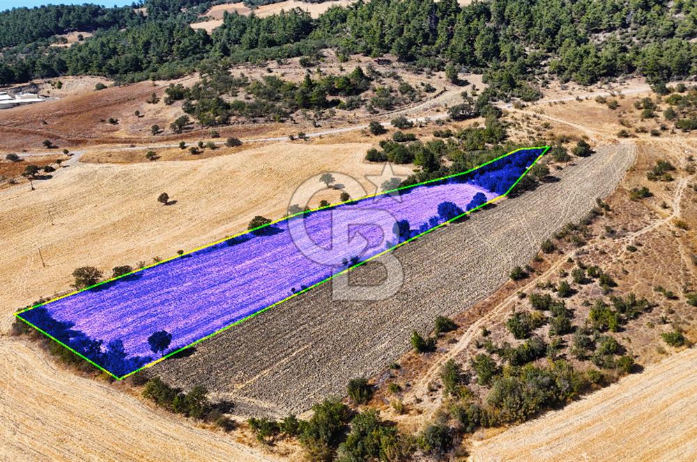Lapseki Kangırlıda 9.168 m² Tarla | Yolu Olan, Uygun Konumda