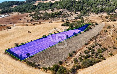 Lapseki Kangırlıda 9.168 m² Tarla | Yolu Olan, Uygun Konumda