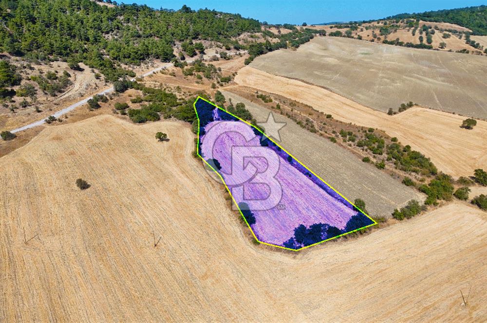 Lapseki Kangırlıda 9.168 m² Tarla | Yolu Olan, Uygun Konumda