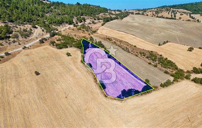 Lapseki Kangırlıda 9.168 m² Tarla | Yolu Olan, Uygun Konumda