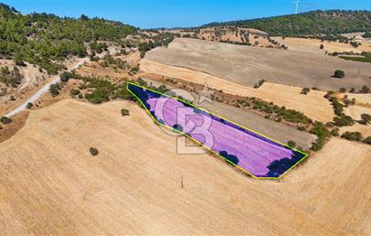 Lapseki Kangırlıda 9.168 m² Tarla | Yolu Olan, Uygun Konumda