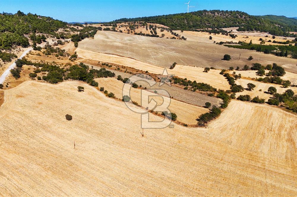 Lapseki Kangırlıda 9.168 m² Tarla | Yolu Olan, Uygun Konumda