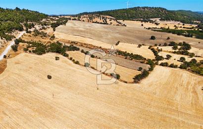 Lapseki Kangırlıda 9.168 m² Tarla | Yolu Olan, Uygun Konumda